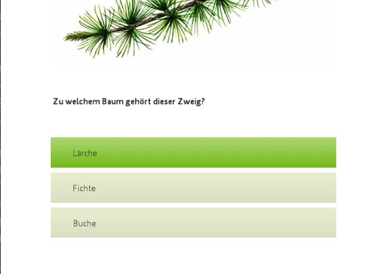 Quiz