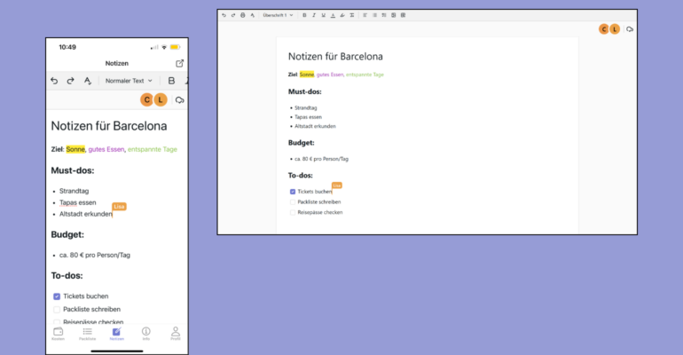 TripSync_Shared Notes_Header